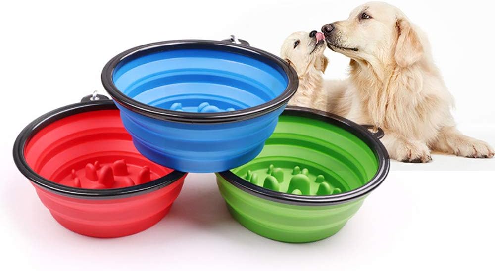 Selecting the Right Food and Water Bowls for Pets