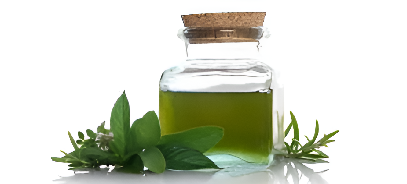 Rising Demand for Spearmint Oil: Benefits & Impact